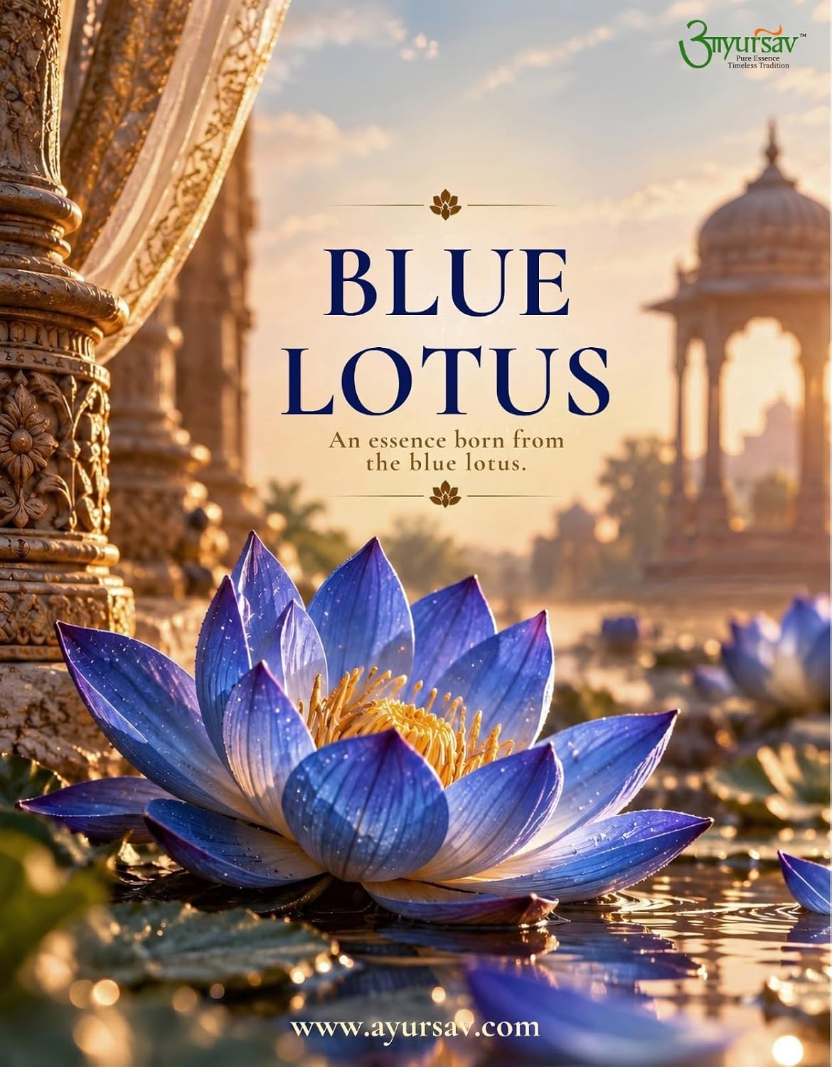 Blue Lotus